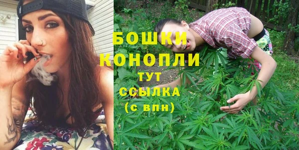 альфа пвп Гусиноозёрск