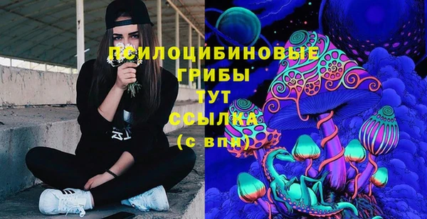 альфа пвп Гусиноозёрск