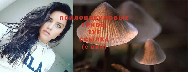 дмт Гусь-Хрустальный