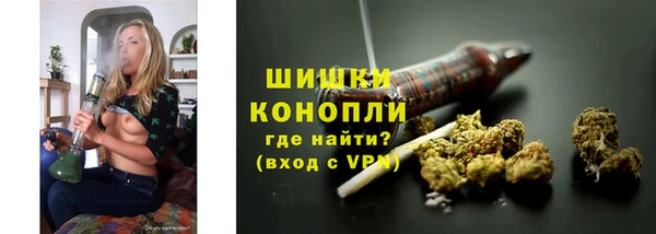 дмт Гусь-Хрустальный