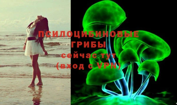 гашишное масло Гусев