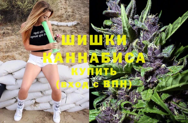 альфа пвп Гусиноозёрск