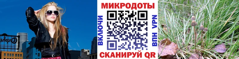 Купить где  Старый Крым  Псилоцибиновые грибы GOLDEN TEACHER 